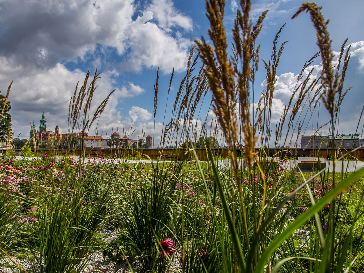 Immagini dalla città
