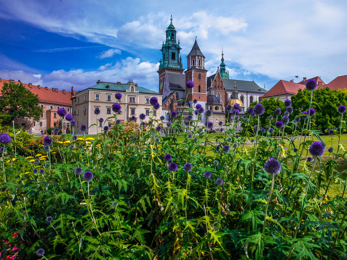 Immagini dalla città