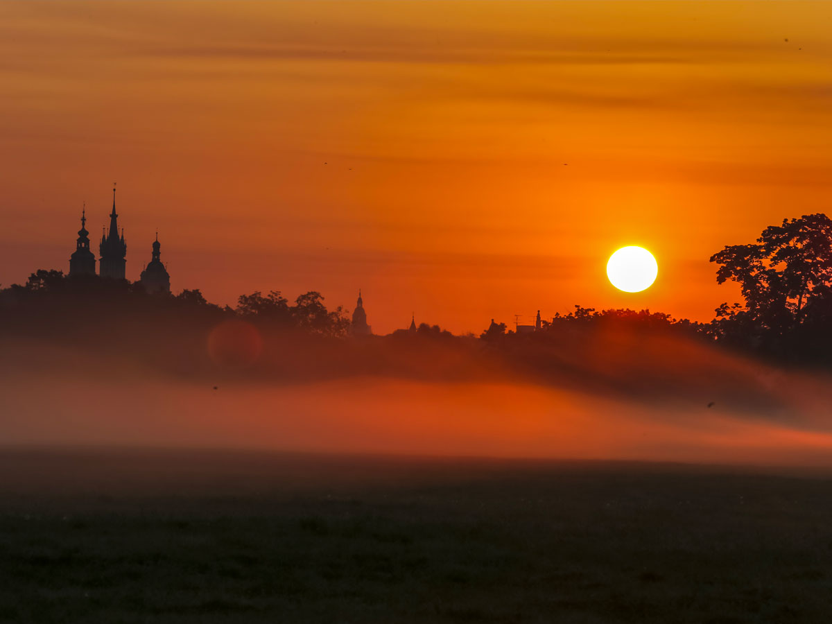 Immagini dalla città