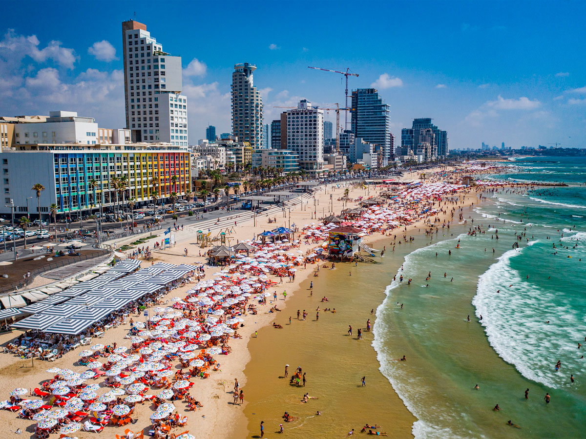 Immagini dalla città