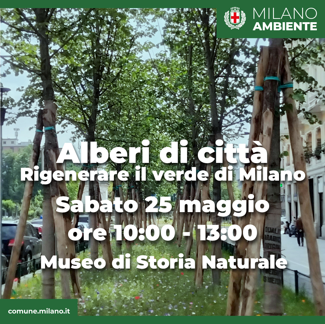 Alberi di città - Rigenerare il verde di Milano