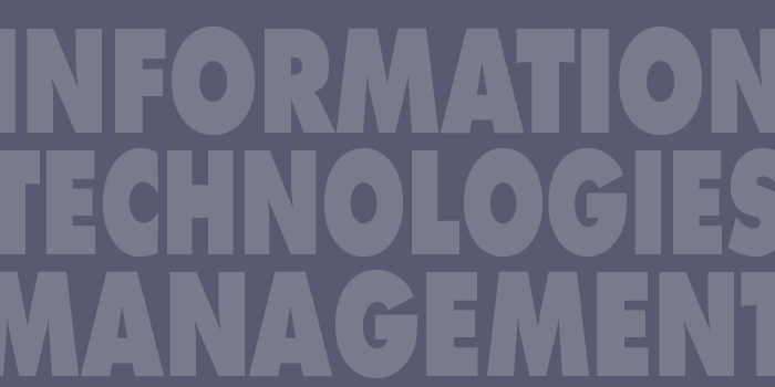 INFORMATION TECHNOLOGY - NEW MEDIA - MANAGEMENT